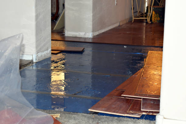 Professional Basement Flood Cleanup technician working in Taylorsville, IN